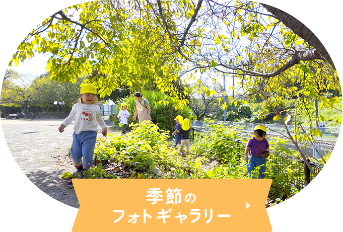 季節のフォトギャラリー